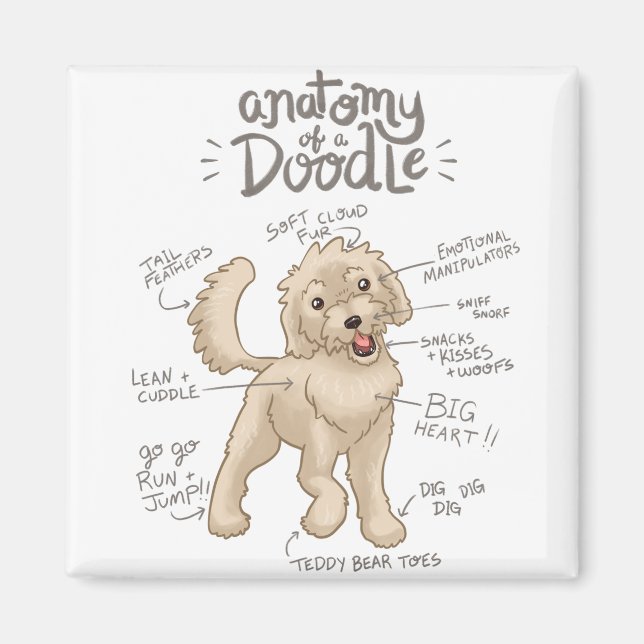 Íman Anatomia de um Cachorro de Dodle (Frente)