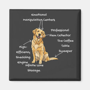 Íman Anatomia de um Golden Retriever - Mãe/Pai de Cacho