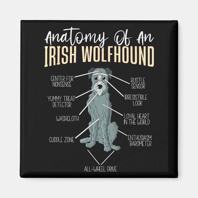 Íman Anatomia de um Irish Wolfhound  (Frente)