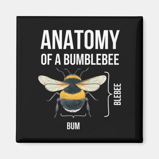Íman Anatomia De Uma Citação De Humor Sarcástico Engraç (Frente)