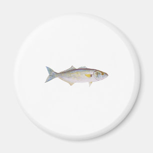 Íman Anchova