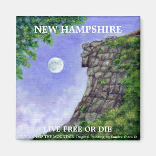 Íman ANCIÃO do ímã 2 da arte de New Hampshire da