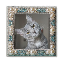 Âncora de Memória de Gato Cinza 