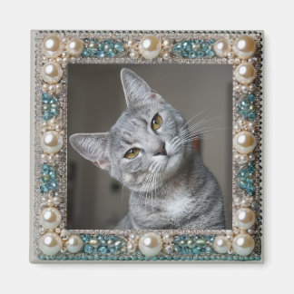 Íman Âncora de Memória de Gato Cinza 