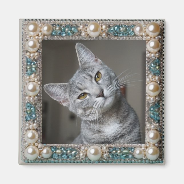 Íman Âncora de Memória de Gato Cinza  (Frente)