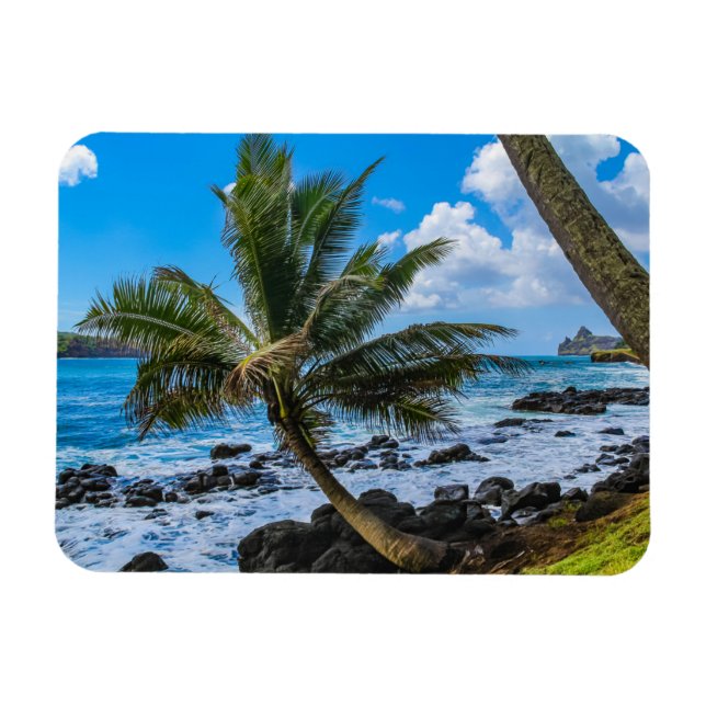 Íman Andando por aí... (Horizontal)