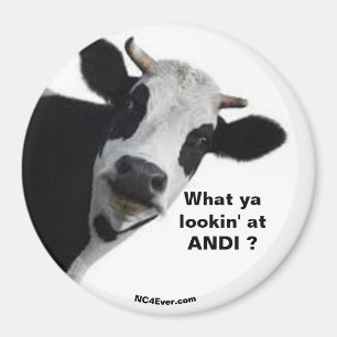 Íman ANDI O que está vendo?