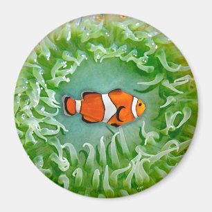 Íman Anemone Magnet