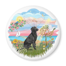 Angel Star - Black Lab