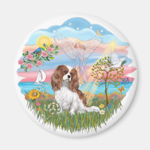 Íman Angel Star - Blenheim Cavalier