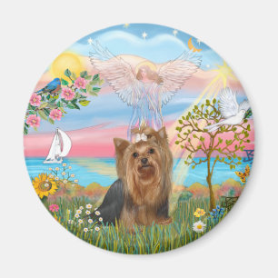 Íman Angel Star-Yorkshire Terrier (#7)