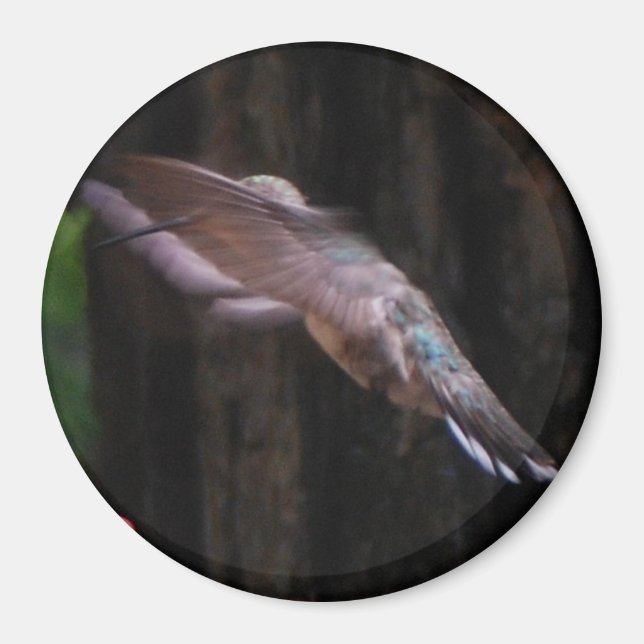 Íman Angelic Wings (Frente)