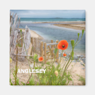 Íman Anglesey Wales Scenic View Beach E Wild Poppies
