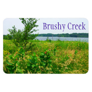 Íman Angra Brushy, ímã de Iowa