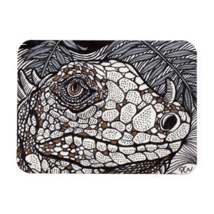 Íman Angry Iguana