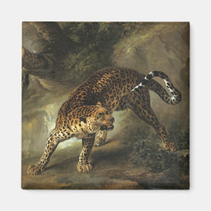 Íman Angry Leopard (por Jean-Baptiste Oudry)