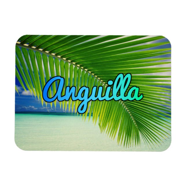 Íman Anguila (Horizontal)