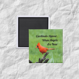 Íman Ângulos De Aparência Cardeal Perto Do Decor Do Mag