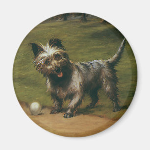 Íman Animais Antigos Cães, Cachorrinho Fofo do Terrier
