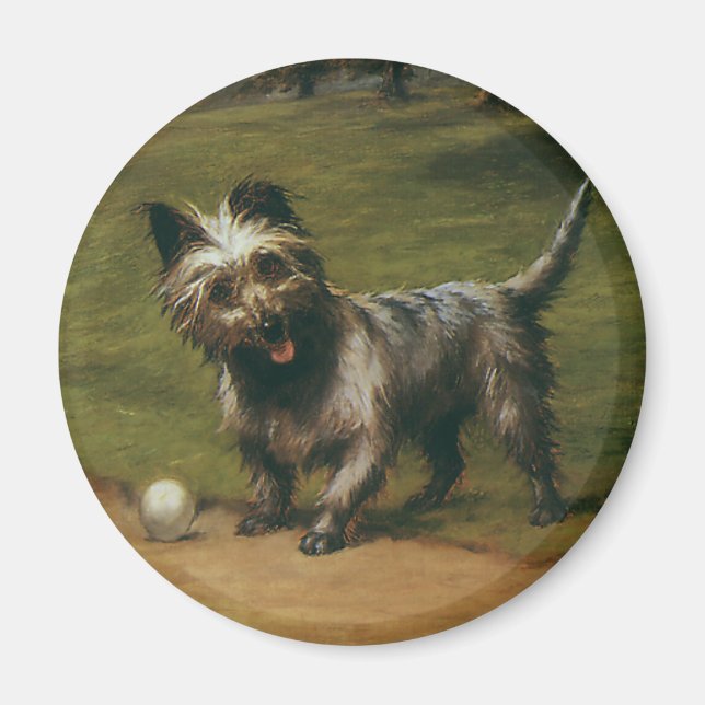 Íman Animais Antigos Cães, Cachorrinho Fofo do Terrier  (Frente)