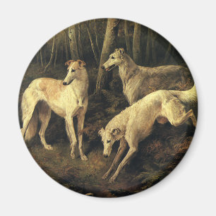 Íman Animais Antigos, Cães de Caça Galgos na Floresta