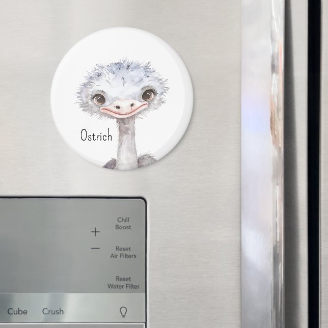 Íman Animais Avestruzes Fofos (In Situ (Fridge))
