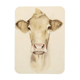 Íman Animais de Casca de Aquarela Vaca