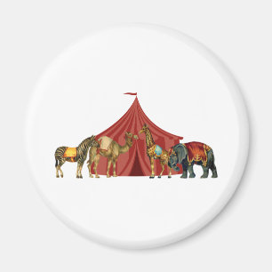 Íman Animais De Circo E Tent