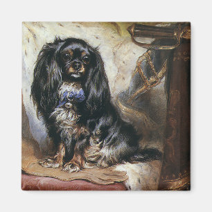 Íman Animais de Estimação Antigos, Cachorrinho Spaniel
