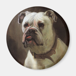 Íman Animais de Estimação Antigos, Retrato de Cachorro