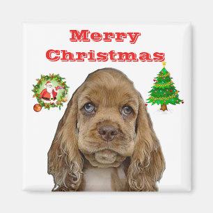 Íman Animais de Natal