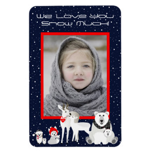 Íman Animais do Ártico