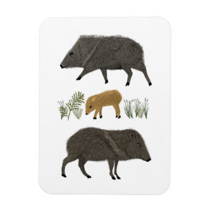 Íman Animais do Deserto do Retrato da Família Javelina