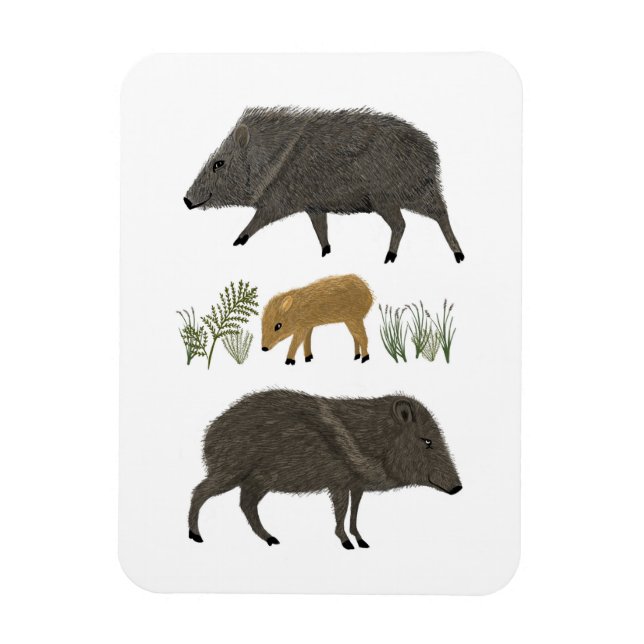 Íman Animais do Deserto do Retrato da Família Javelina (Vertical)