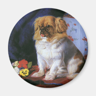 Íman Animais do vintage, cão de filhote de cachorro de