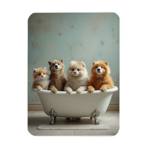 Íman Animais engraçados na banheira
