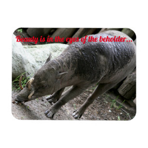 Íman Animais feios, Babirusa