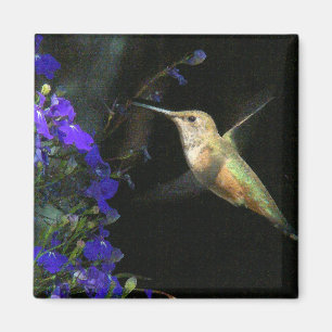 Íman Animais selvagens animais do pássaro do colibri
