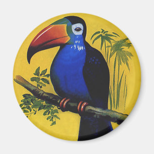 Íman Animais Selvagens Antigos Pássaros, Tucano Tropica