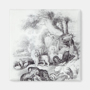 Íman Animais Selvagens de "Uma História da Terra