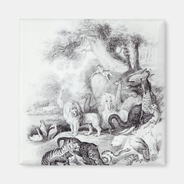 Íman Animais Selvagens de "Uma História da Terra (Frente)