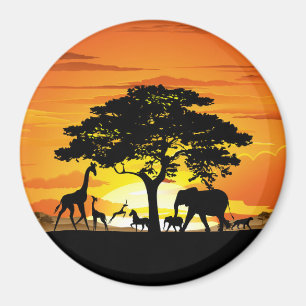 Íman Animais Selvagens no Sunset da savana africana