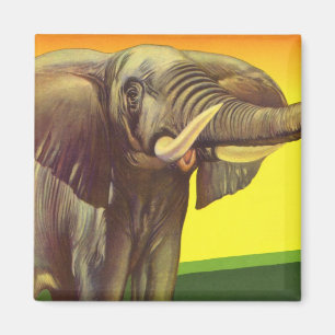 Íman Animais Selvagens Vintage, Elefante Africano com P