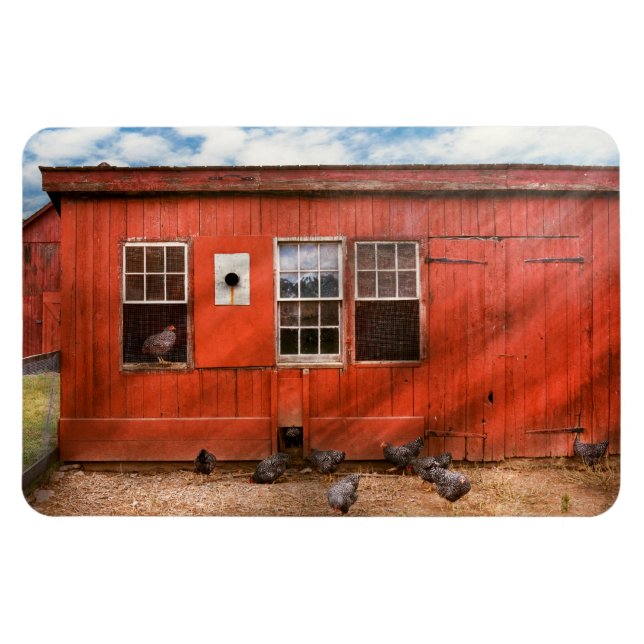 Íman Animal - Ave - Observação de aves (Horizontal)