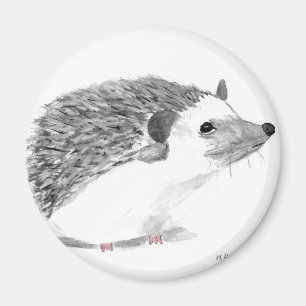 Íman Animal de ouriço