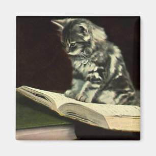 Íman Animal do vintage, livro de leitura bonito do