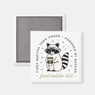 Íman animal engraçado kawaii do clube matcha bebendo Ra
