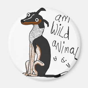 Íman Animal selvagem do Am