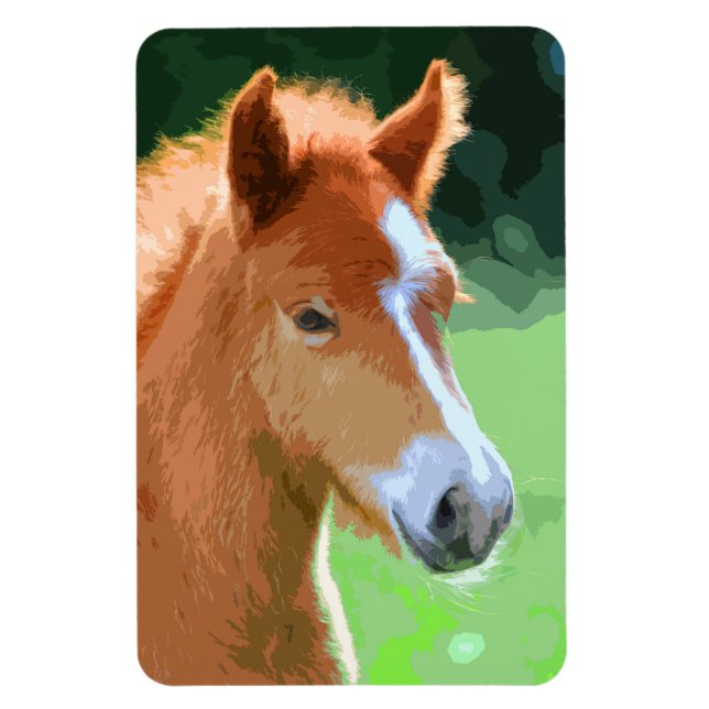 Íman AnimalMix_Horse_013 (Vertical)