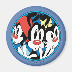 Íman Animaniacs   Gráfico do círculo dos irmãos Warner